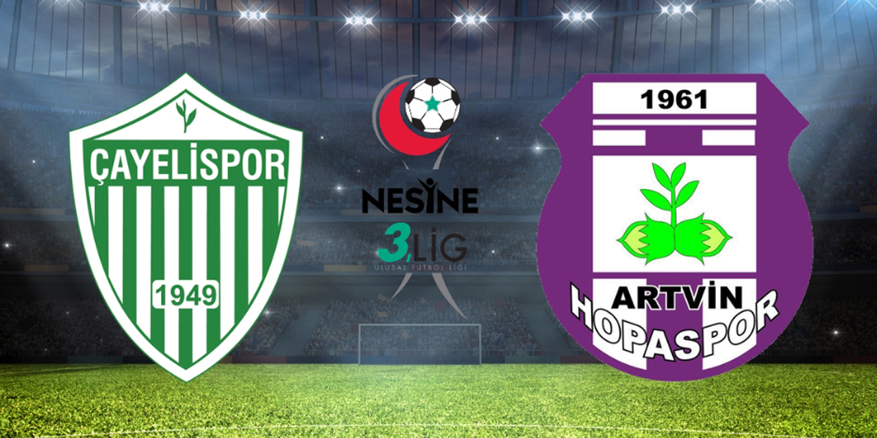 Çayelispor ve Artvin Hopaspor'a PFDK'dan Ağır Fatura