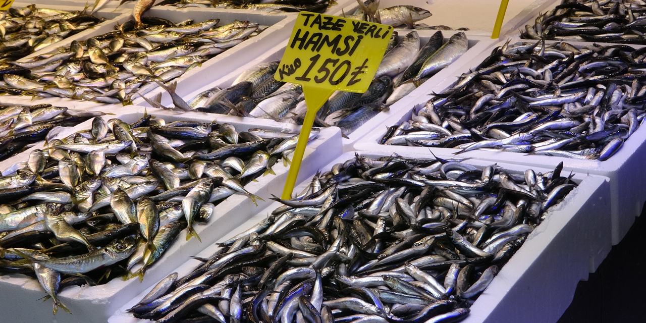 Balık av sezonu biterken, balıkçılar sezonu değerlendirdi