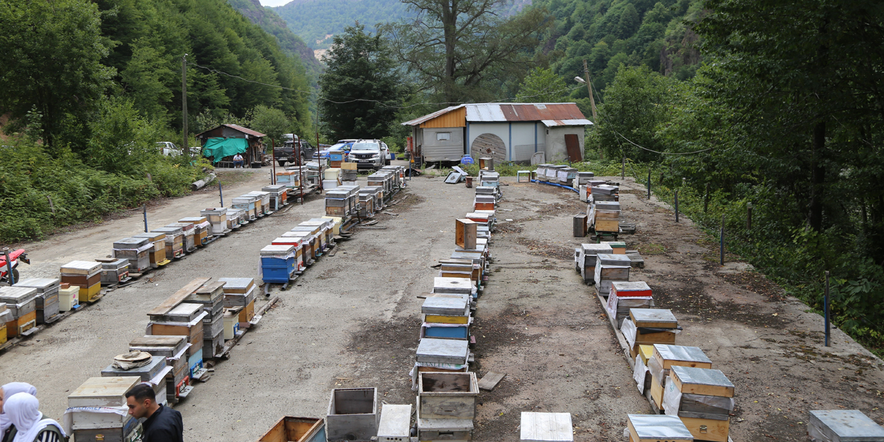 Mevsim normallerinin altında seyreden hava sıcaklığı arıcıları vurdu, uzmanlardan kritik uyarı