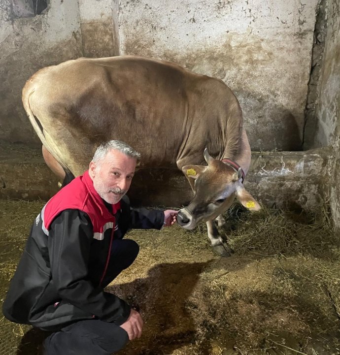 Danimarka ve Amerika'dan getirildiler, Of'a kısa sürede uyum sağladılar