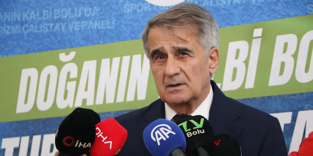 Şenol Güneş: "Milli takımın çeyrek finale kadar rahat gelebilecek bir görüntüsü var"