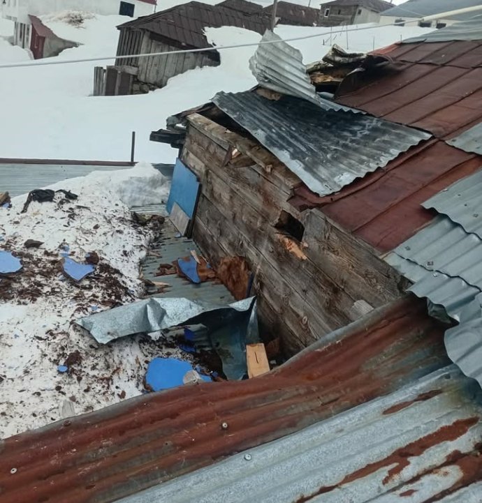 Gümüşhane yaylalarında ayı dehşeti devam ediyor