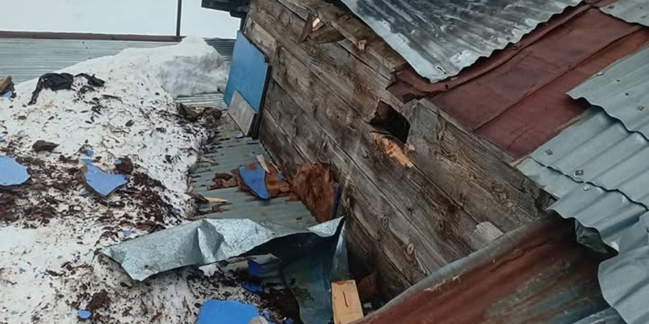 Gümüşhane yaylalarında ayı dehşeti devam ediyor