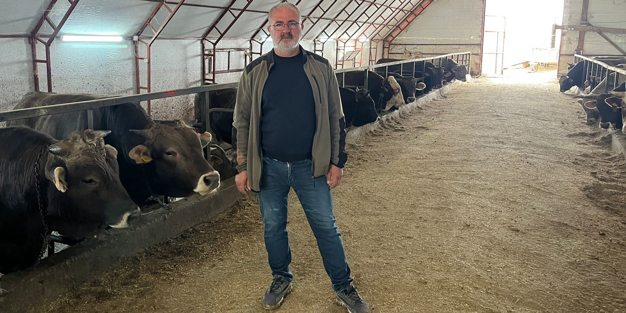 Artvin'de kurbanlıklar pazara çıkmayı bekliyor