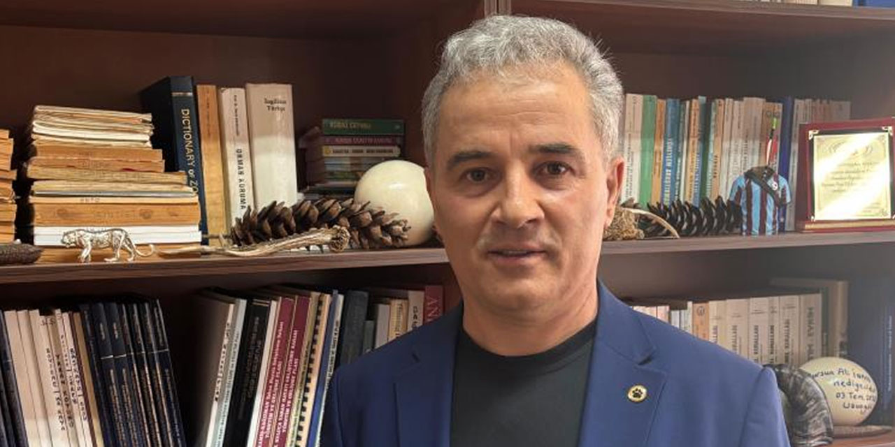 Kış uykusu bitti, ayı istilası başladı