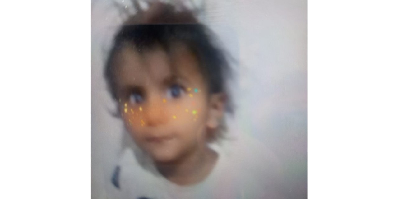 Diyarbakır'da 2 buçuk yaşındaki kayıp kız çocuğu her yerde aranıyor