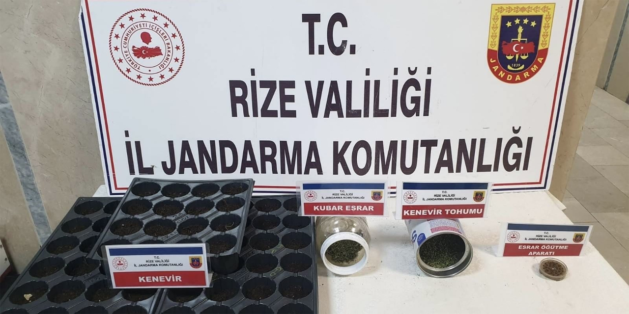 Rize'de Jandarmadan Operasyon: 3 Tutuklama, Çok Sayıda Uyuşturucu
