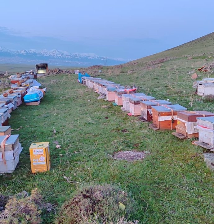 Karadeniz'in gezgin arıcıları yeni sezon için Doğu Anadolu'nun dağlarını mesken tuttu
