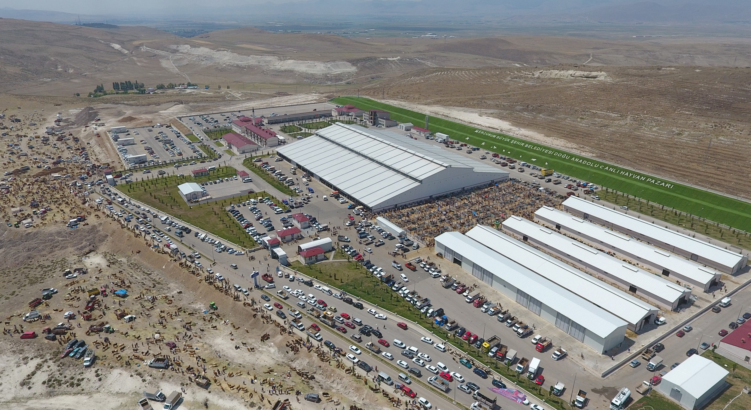 Tarım ve hayvancılıkta erzurum modeli