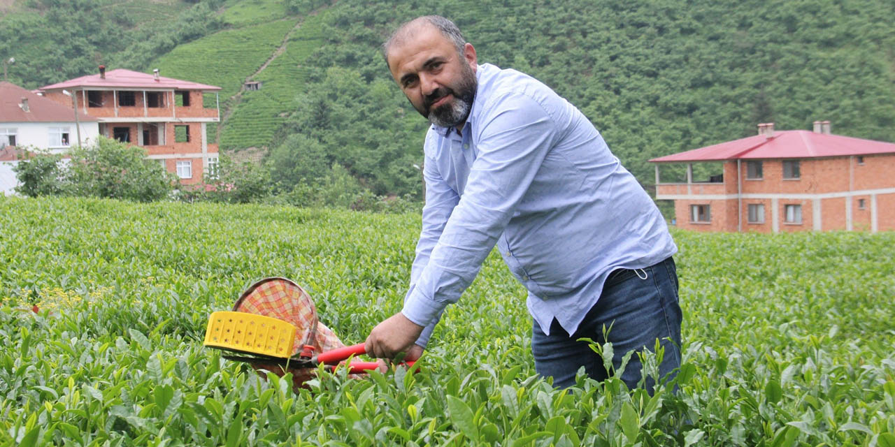 Çay üreticileri yaş çay alım fiyatındaki artış sonrası kuru çaya da zam bekliyor