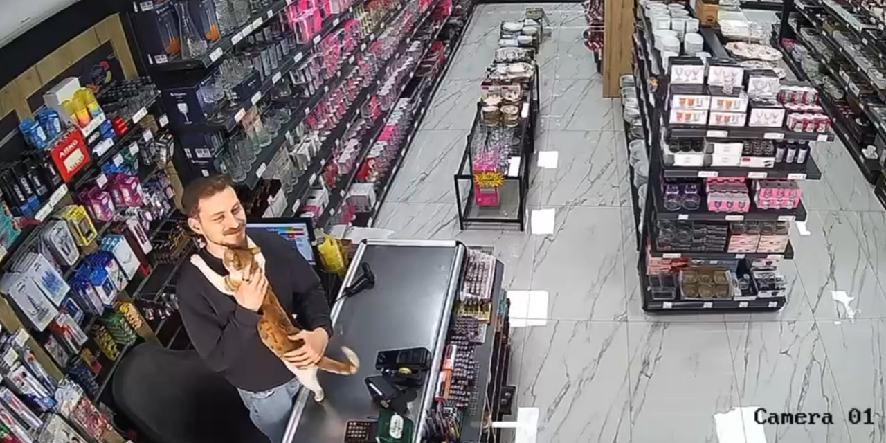 Rize’de kedi ile esnafın dostluğu