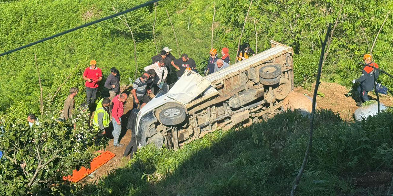Rize'de Çay Yüklü Kamyonet Çay Bahçesine Yuvarlandı: 1 Yaralı