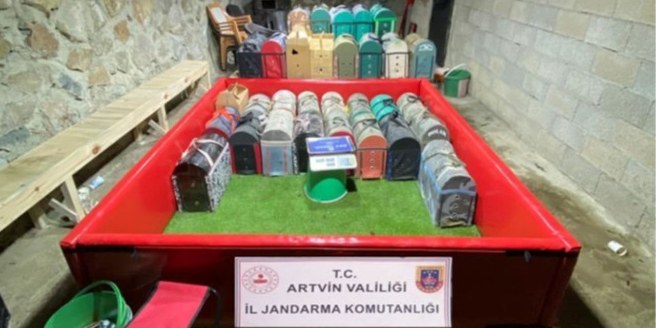 Artvin’de horoz dövüşüne jandarma baskını: 39 kişiye toplam 500 bin lira ceza