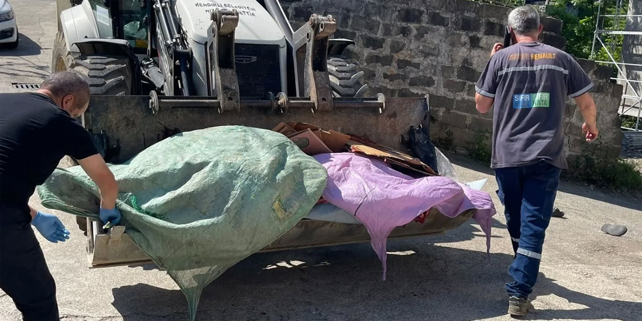 Rize'de 11 Büyükbaş Hayvanda Tüberküloz Hastalığı tespit edildi