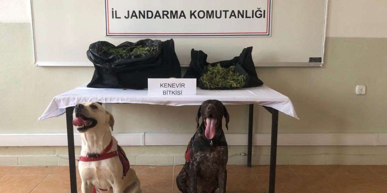 Takside, Çantalarında 6 Kilo Esrar Çıkan Yolcu Tutuklandı