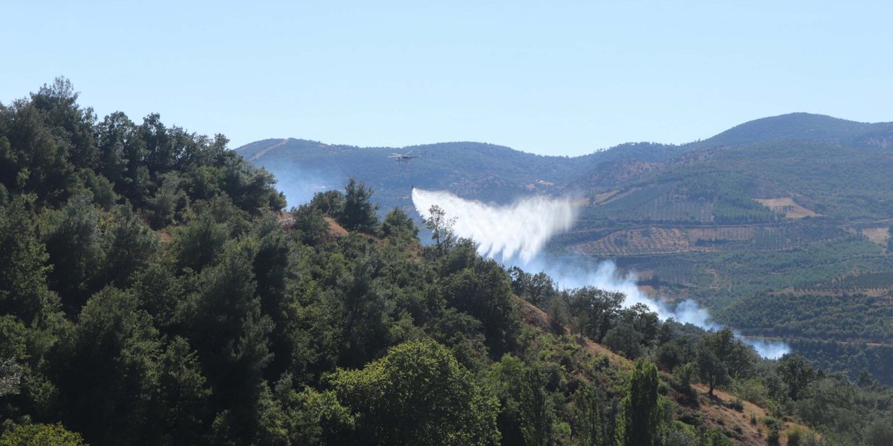 Manisa'da Orman Yangını (2)