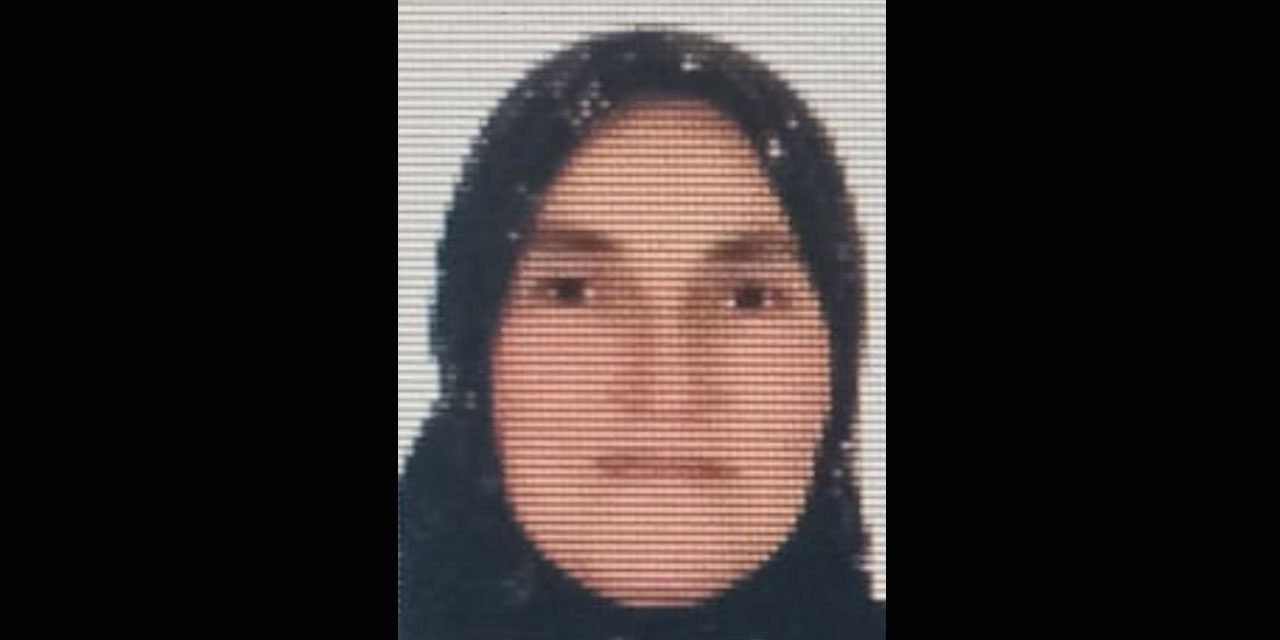 Ordu’da ineğin teptiği kadın hayatını kaybetti