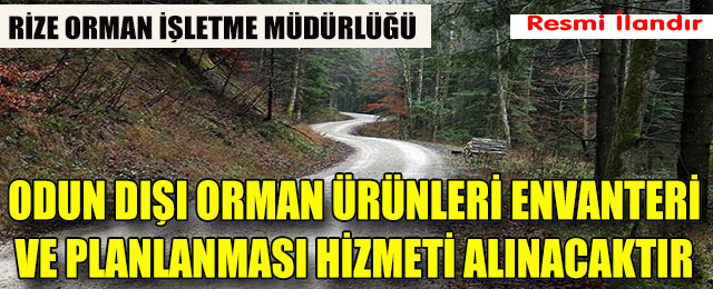 Odun Dışı Orman Ürünleri Envanteri ve Planlanması Hizmeti Alınacaktır