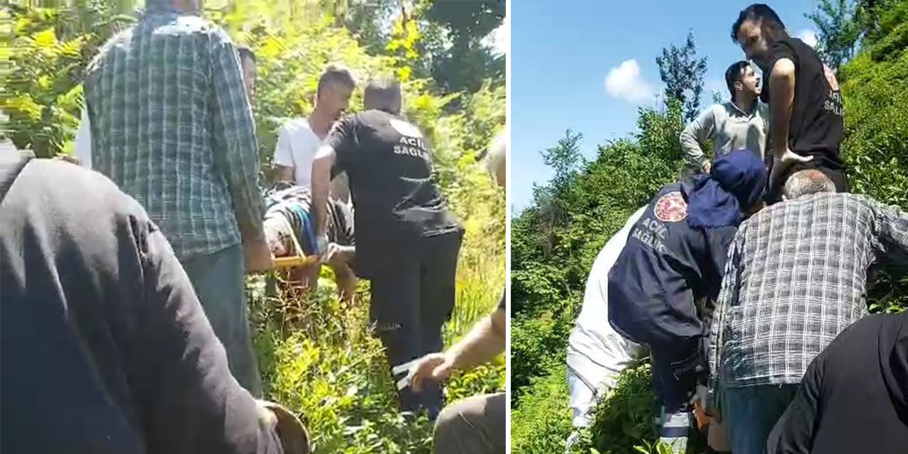 Rize'de kiraz toplamak için çıktığı ağaçtan düştü