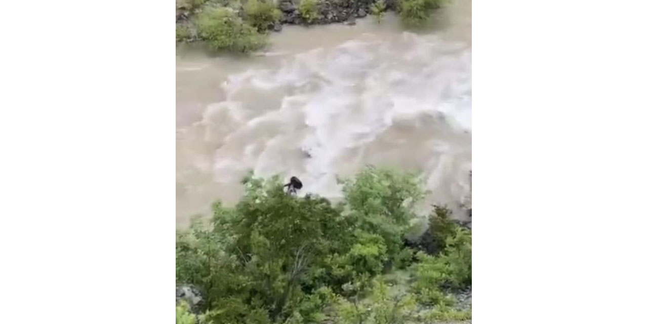 Artvin'de bir otomobil Çoruh Nehri'ne düştü; baba ile oğlu aranıyor