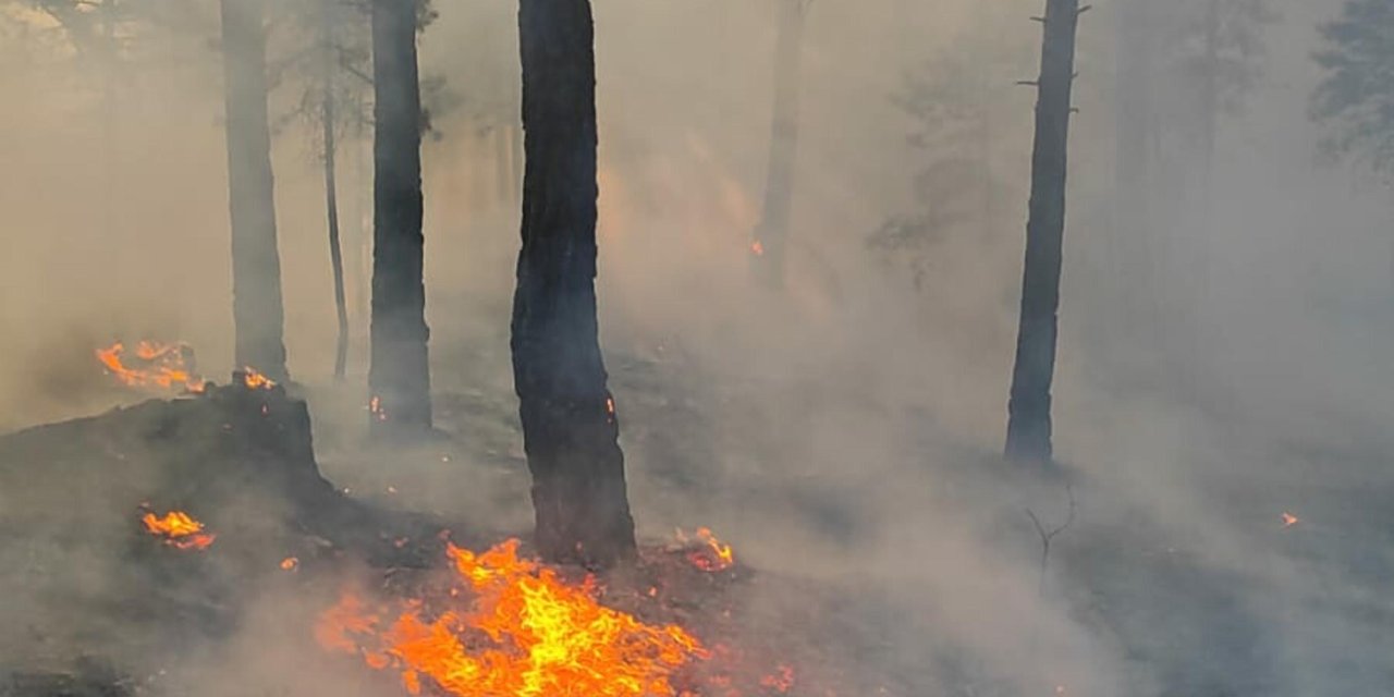 Çanakkale'de Orman Yangını
