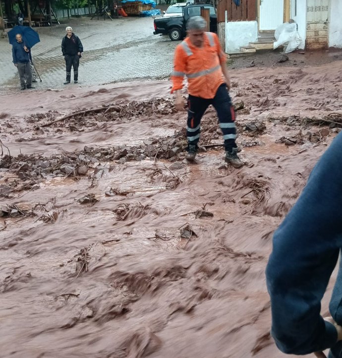 Artvin'de sağanak sonrası dereler taştı