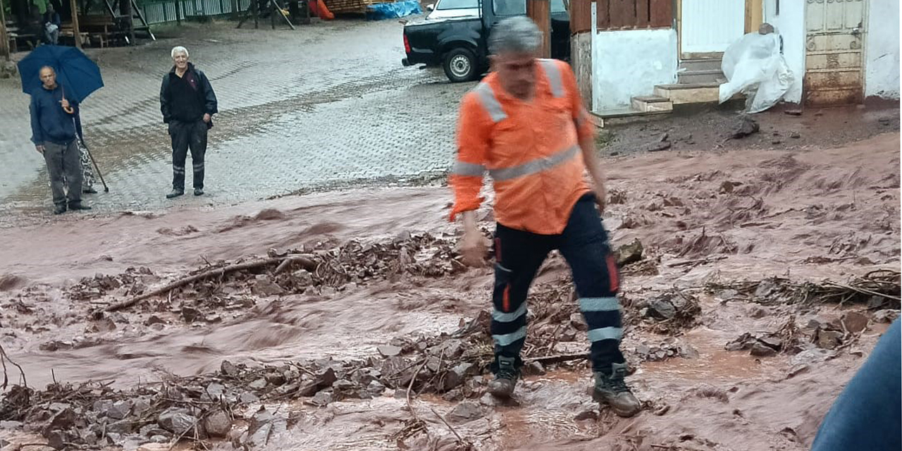 Artvin'de sağanak sonrası dereler taştı