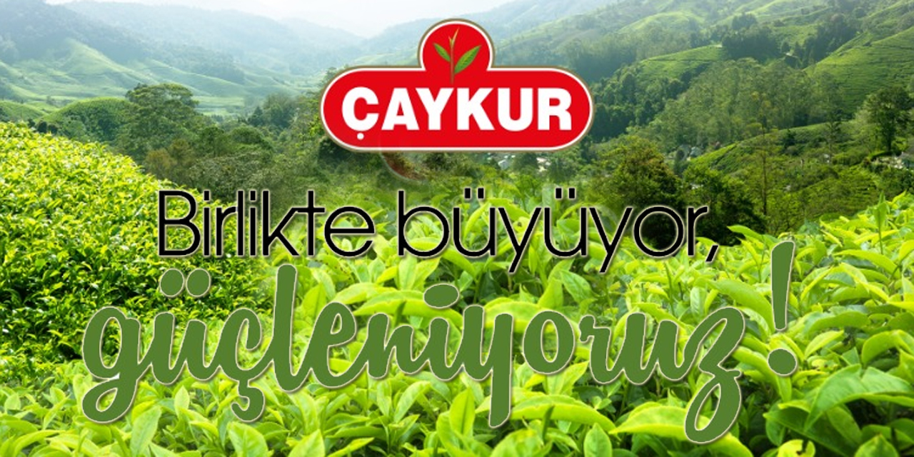 ÇAYKUR’da Kuru Çay Pazarında Yüzde 50 Barajı aşıldı