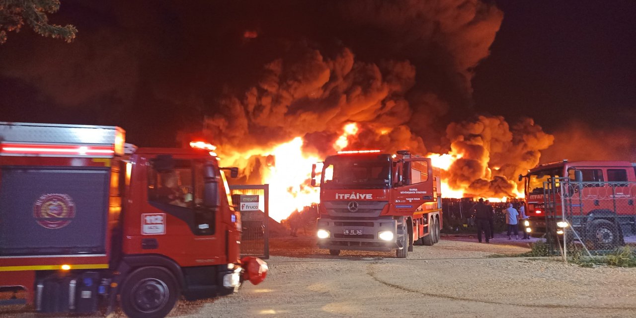 Bursa'da Soğuk Hava Deposunda Korkutan Yangın