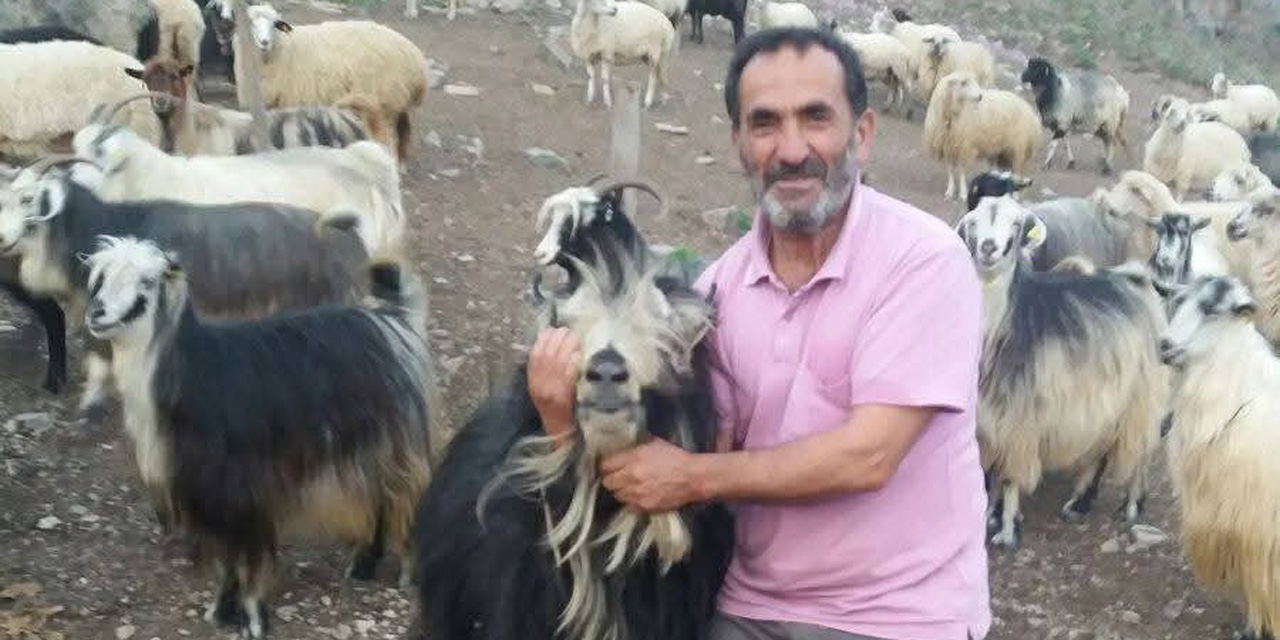 Şavşat Deresi'nde kaybolan babanın cansız bedenine ulaşıldı