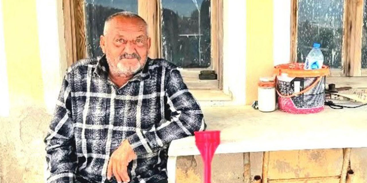 Ayı saldırısına uğrayan yaşlı adam hayatını kaybetti