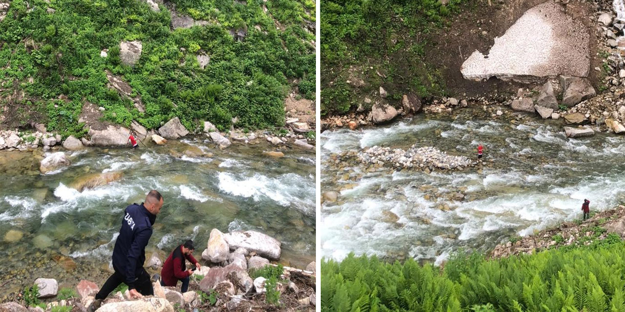 Papağanını kurtardı, kendisi mahsur kaldı