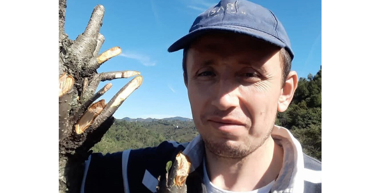 Ordu'da ağaç keserken düşen kişi hayatını kaybetti