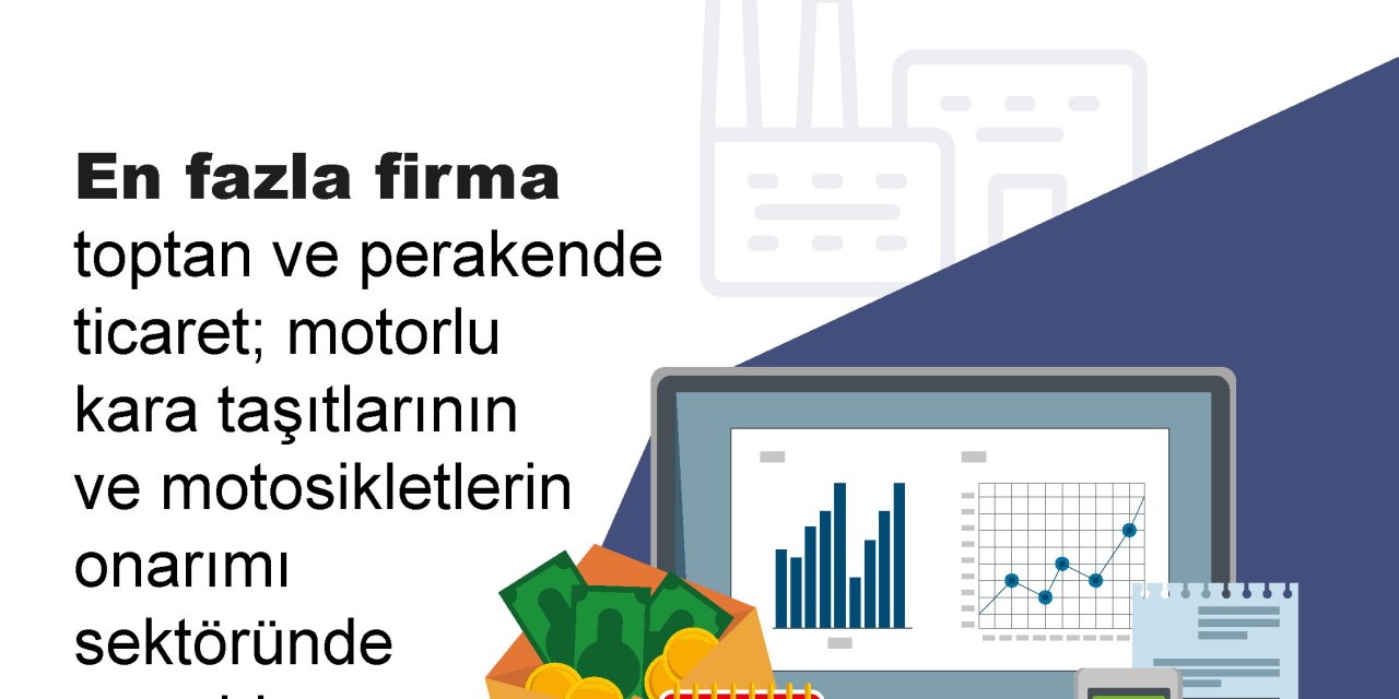 En Fazla Firma Toptan Ve Perakende Ticaret; Motorlu Taşıtlarının Ve Motosikletlerin Onarımı Sektöründe
