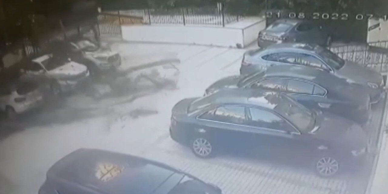 Kadıköy'de Aracın Üstüne Devrilen Ağaç 51 Daireyi İcralık Etti