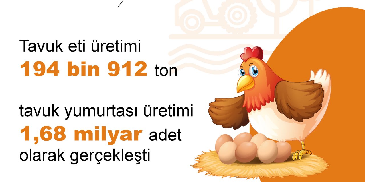 Tüik: Yumurta Ve Tavuk Eti Üretimi Arttı, İçme Sütü Üretimi Azaldı