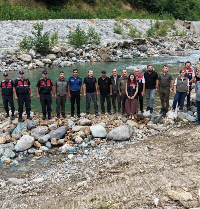 Artvin’de 30 bin kırmızı benekli alabalık yavrusu derelerle buluştu