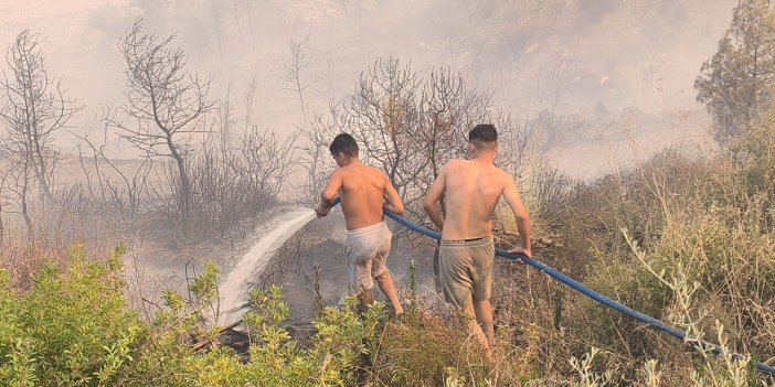 Alevlere karşı omuz omuza mücadele: Gönüllüler yeşil vatan için seferber oldu