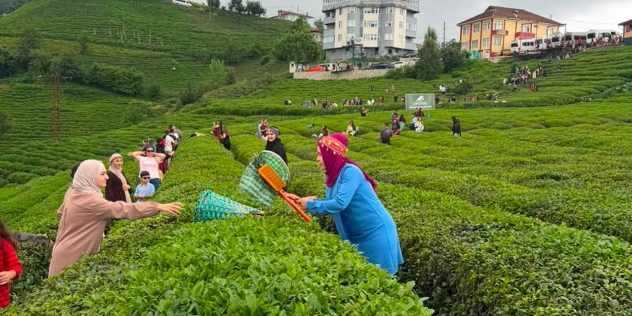 Rize'de Kardeşlik Rüzgarı: 5 Ülkeden Misafirler Ağırlandı