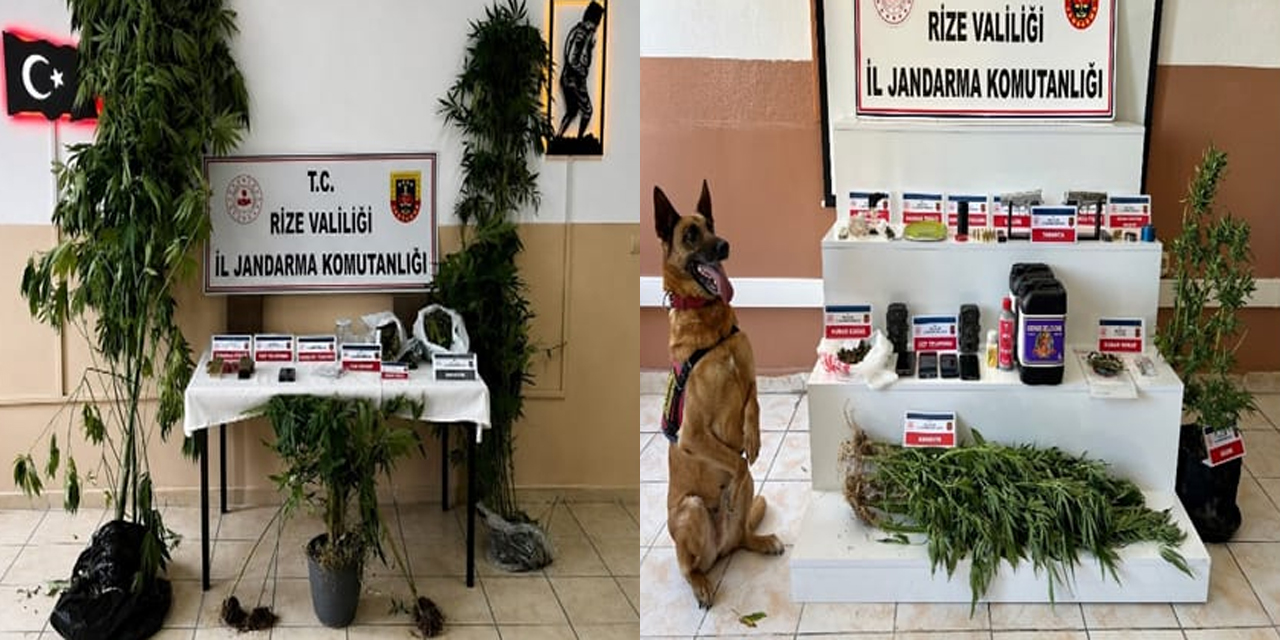 Rize'de Jandarmadan Asayiş Operasyonu: Aranan 24 Şahıs Tutuklandı