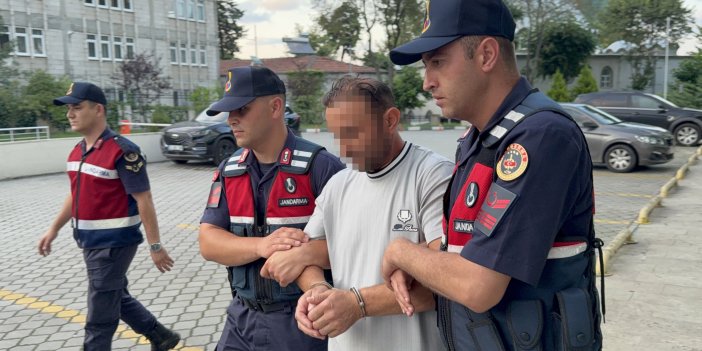 Kesilen ayva dalı tartışmasında amcasını öldüren gurbetçinin ifadesi...