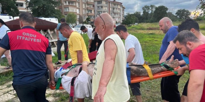Ordu'da denizde akıntıya kapılan 3 kişi kurtarıldı