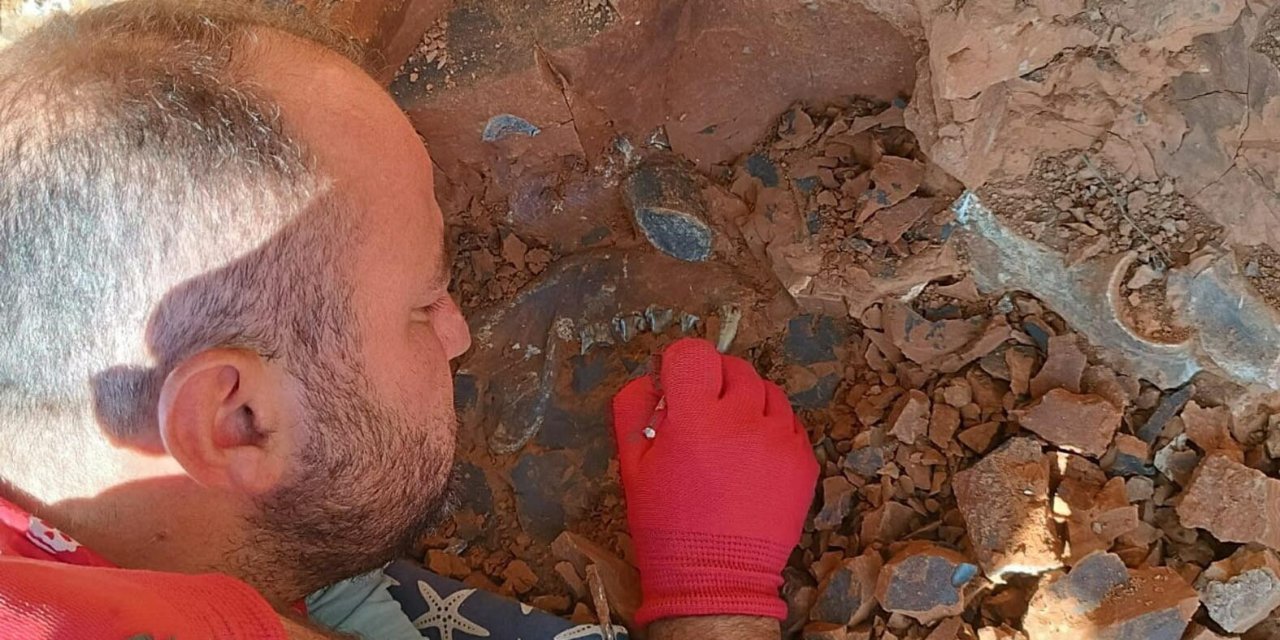 Denizli'de, 9 Milyon Yıl Öncesine Ait Hayvan Fosilleri Bulundu