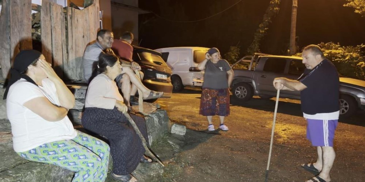 Artvin'de yaban domuzu nöbeti: Köylüler mahsullerini korumak için ellerinde sopalarla sabaha kadar bekliyor