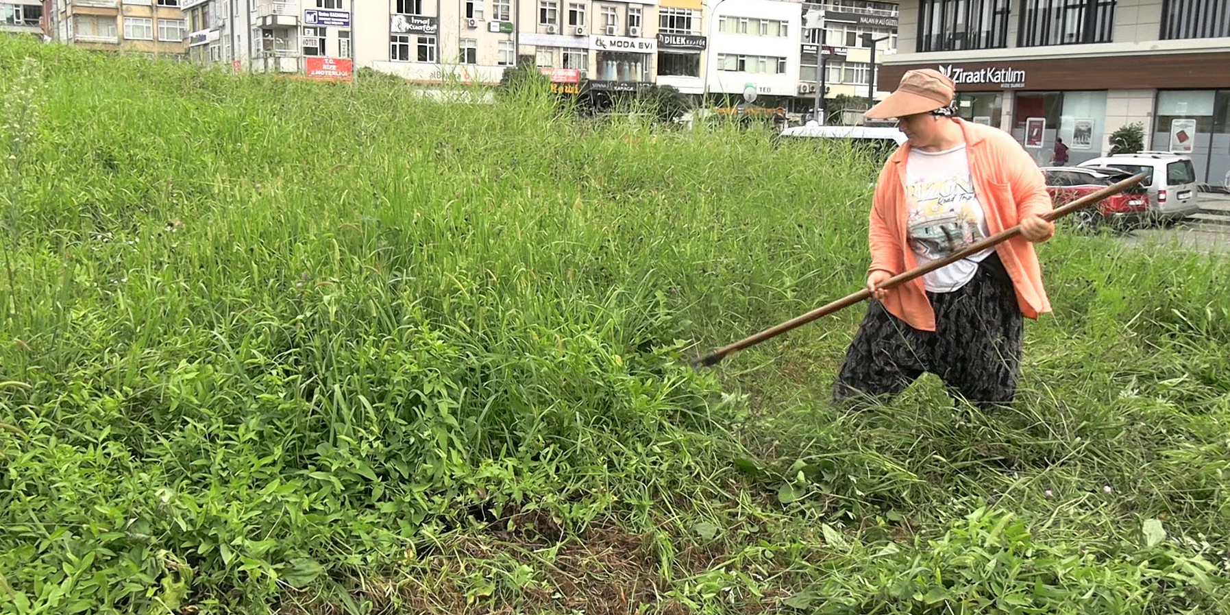 Şehir merkezinde tırpanla geçim mücadelesi