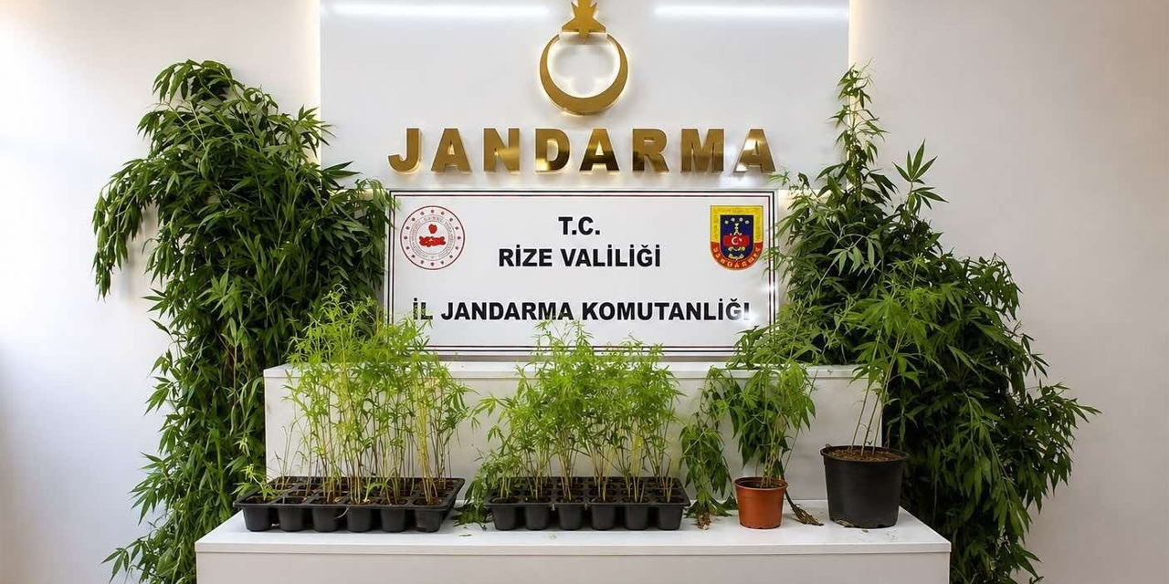 Rize'de Jandarmadan Suçlulara Geçit Yok: 18 Kişi Tutuklandı