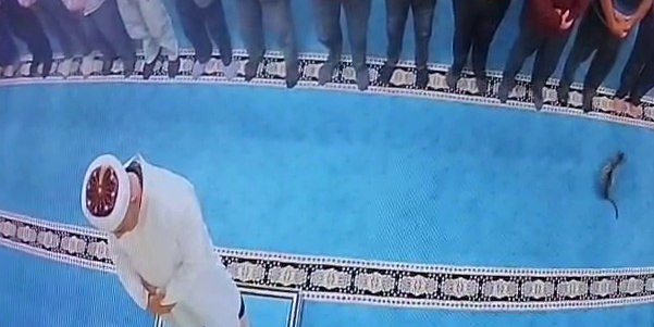 Camide kediyi tekmeleyen şahsa sosyal medyada tepki yağdı: Başsavcılık harekete geçti, gözaltına alındı