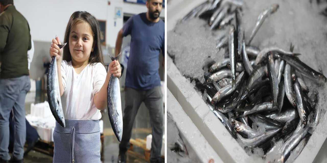 Karadeniz'de çifte bereket: Hem palamut hem hamsi bolluğu