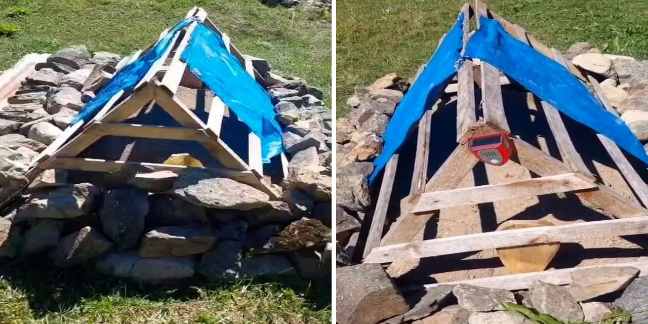 Rize'de mezarı ayıdan korumak için köpek sesi çıkaran düzenek yerleştirildi
