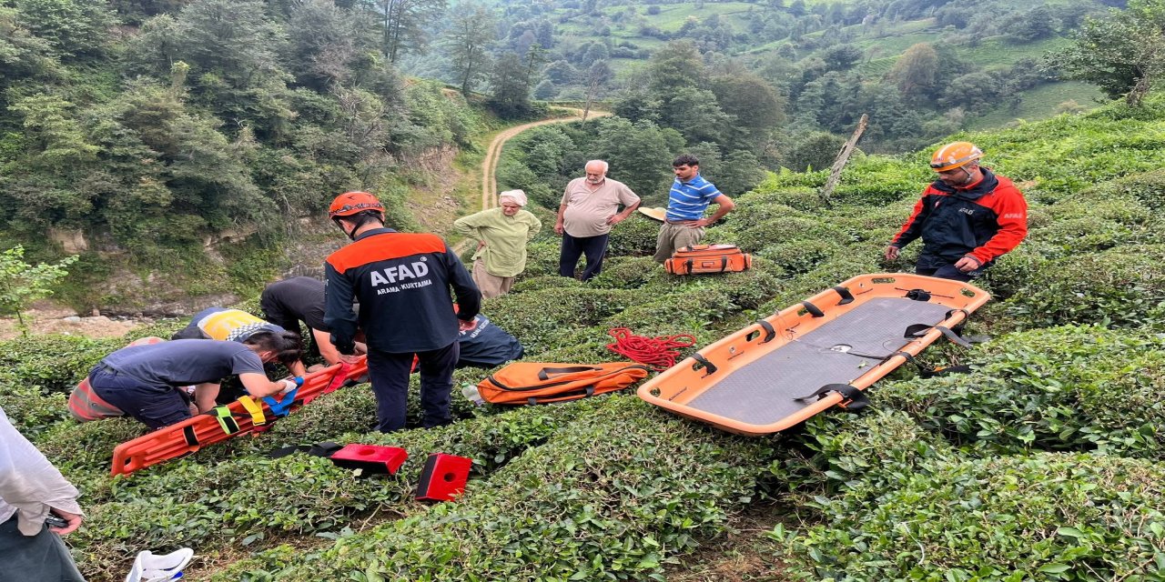 Rize'de Çay Toplarken Dik Yamaçtan Düştü